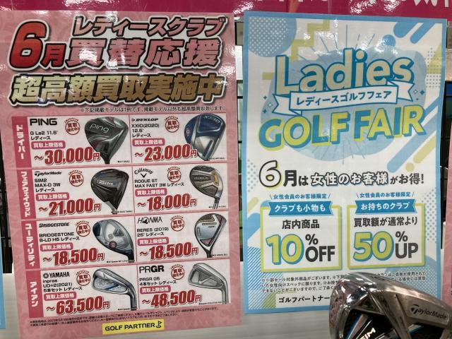 今日までです！