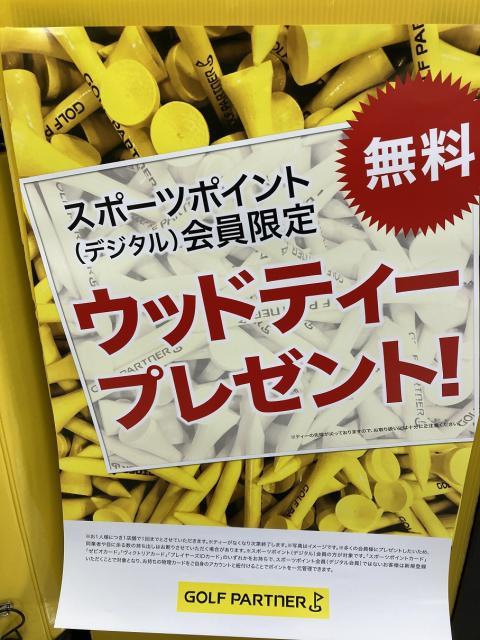 ウッドティープレゼント＆買い取りアップキャンペーン