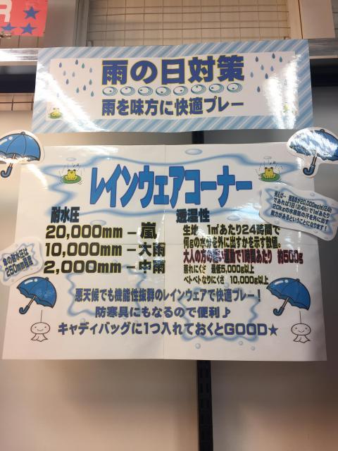 1035B074-B1AB-4C2C-A65F-261964EE81E0.jpeg