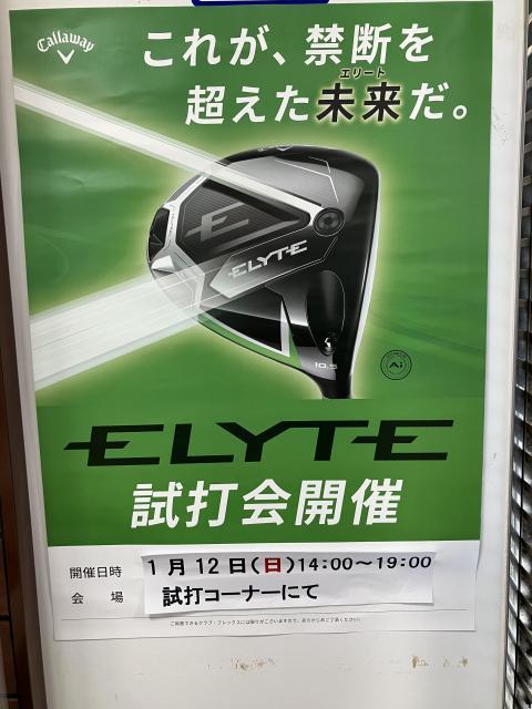 20250112120629-784fcbb398bf30fd129ede1273d1bc2e1f4e036c.JPG