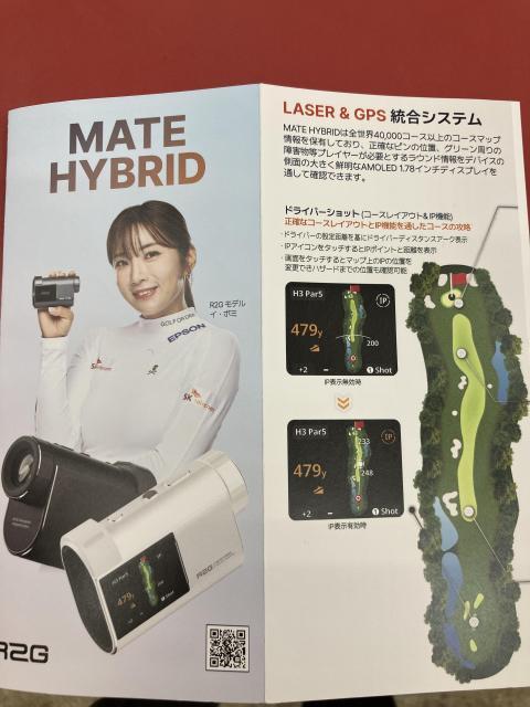 MATE.JPG