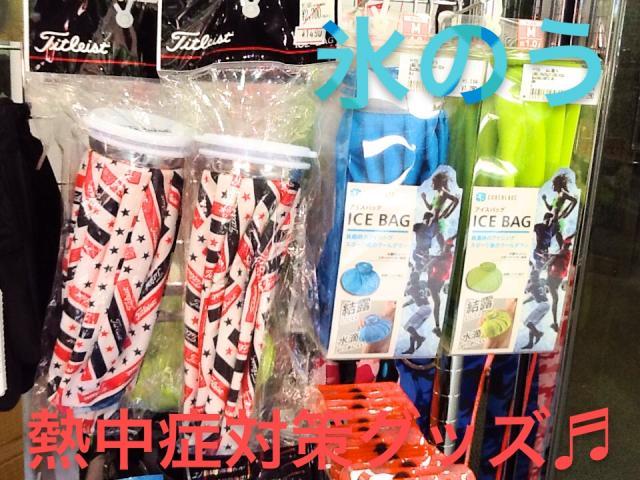 041.JPG