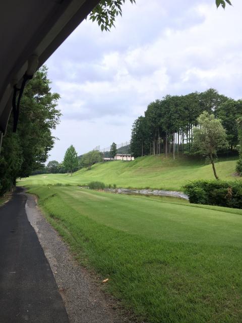 375.JPG