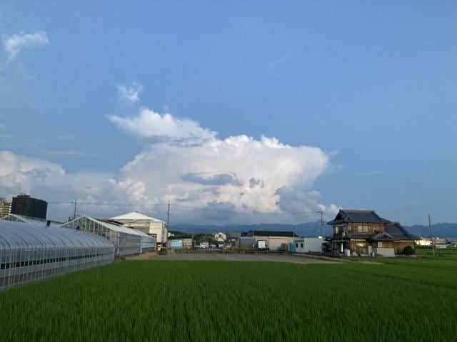 お持ちじゃないですか？