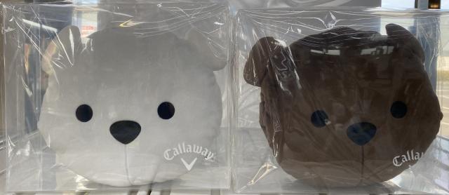 この冬のかわいらしい相棒！