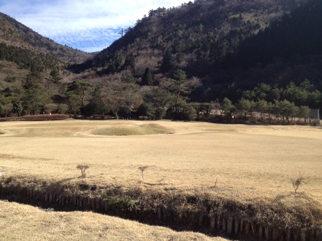 写真2015012402.JPG
