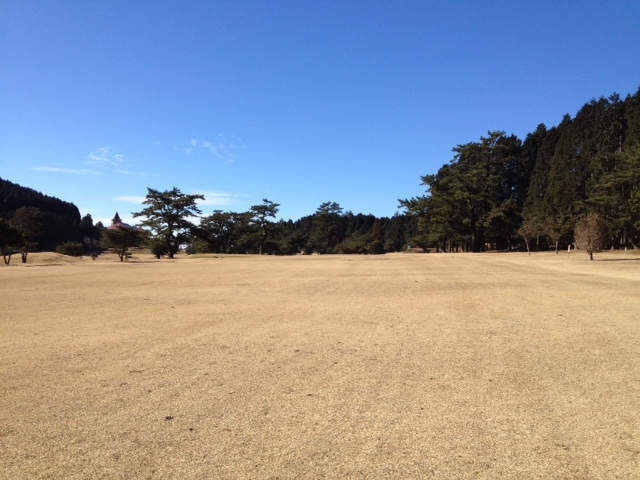 写真2015012403.JPG