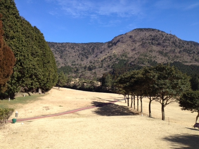 写真2015012405.JPG