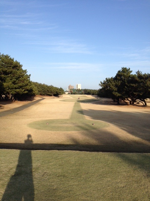 写真2015031809.JPG