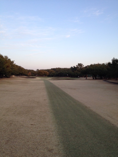 写真2015031903.JPG