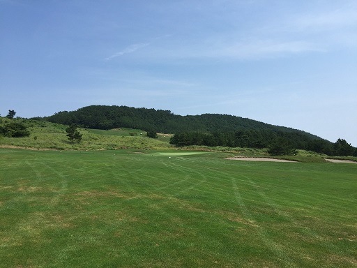 写真2015080702.jpg