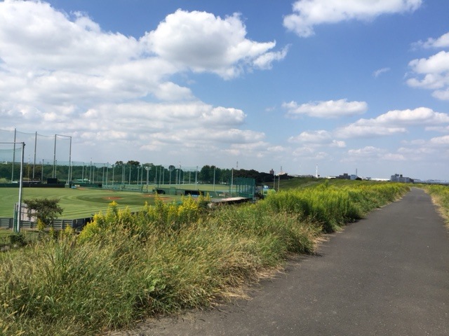 写真2015102801.JPG