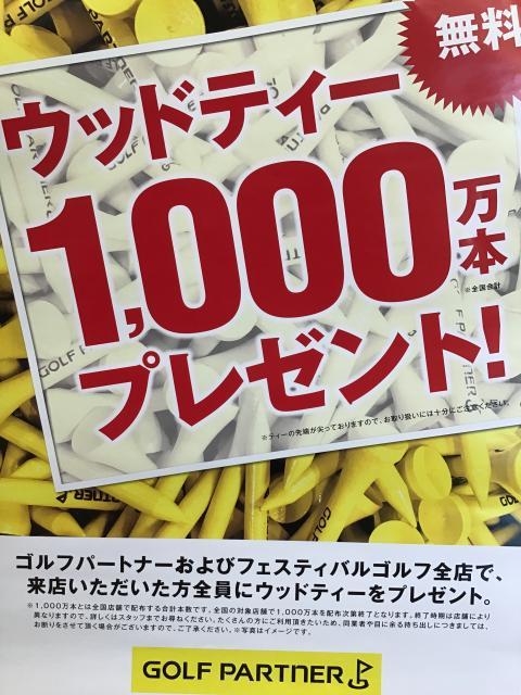 ウッドティー1000万本プレゼント!!