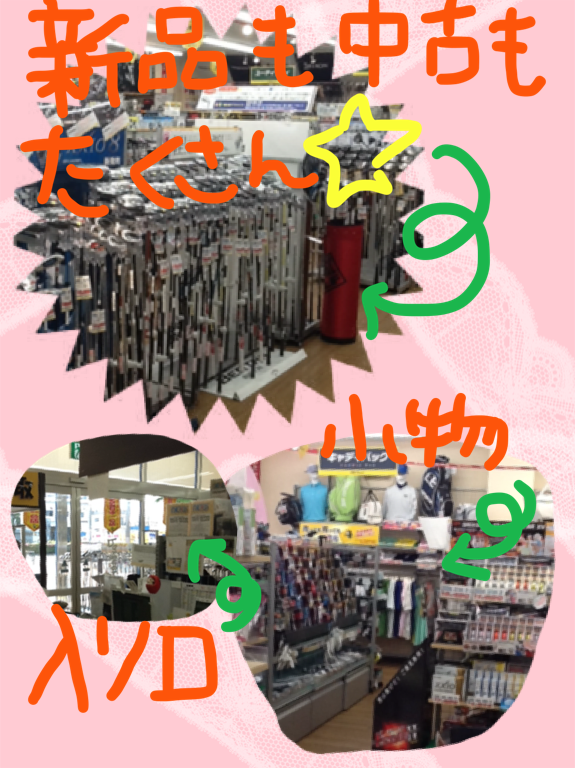IMG_0494[1].PNG