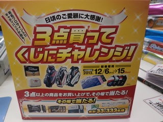 PC070011.JPG
