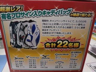 PC070012.JPG