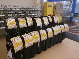 PC270008.JPG