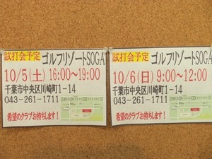 しだ1.JPG