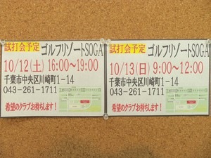 しだ2.JPG