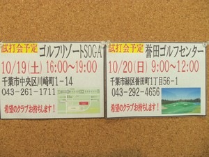 しだ3.JPG