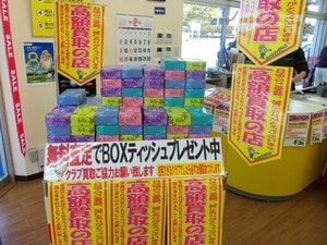 boxtexisshu.JPG