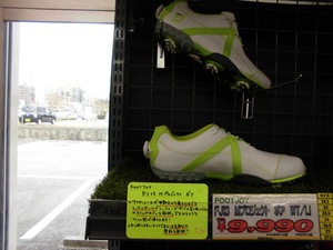 201503061.JPG