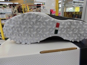 201504228.JPG