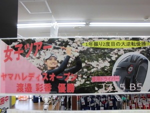 CIMG0500.JPG
