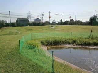 PA130007.JPG