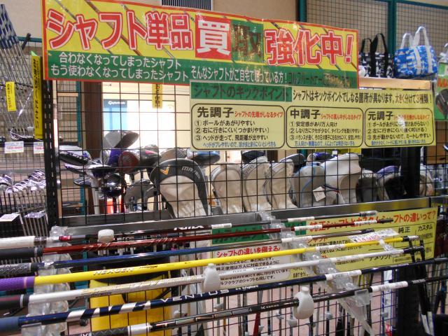 DSCN8778.JPG