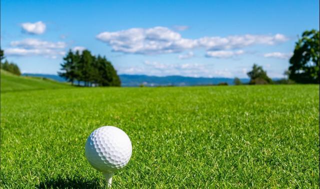 ネタバレ注意！全米オープン&ニチレイレディースの優勝者ドライバーについて！