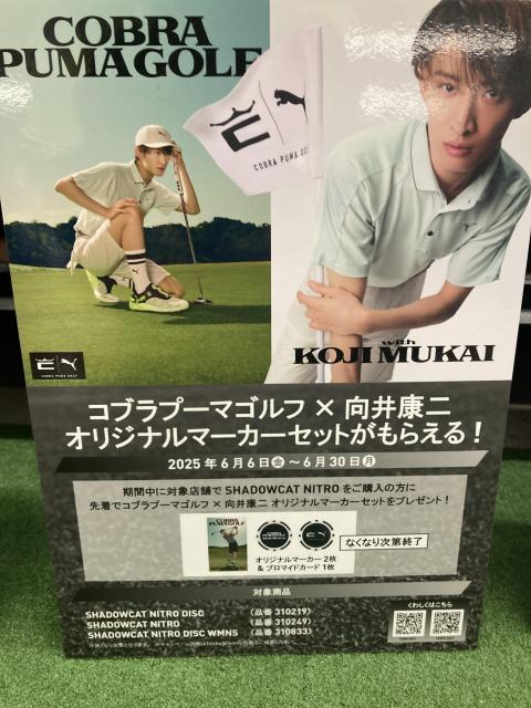 コブラからシューズのキャンペーンが開催中！！