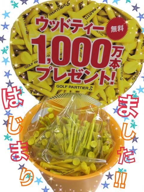 【注目】ウッドティプレゼント！