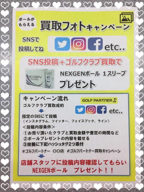 ボールが貰える！？(゜_゜)