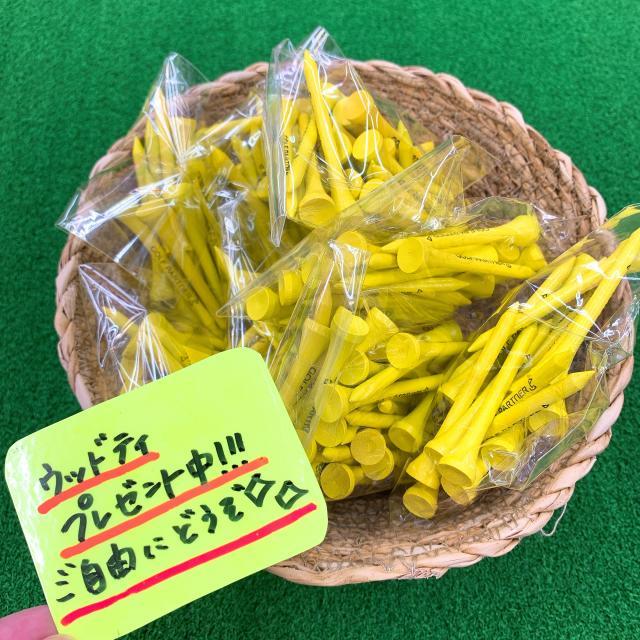 ウッドティプレゼント！！！