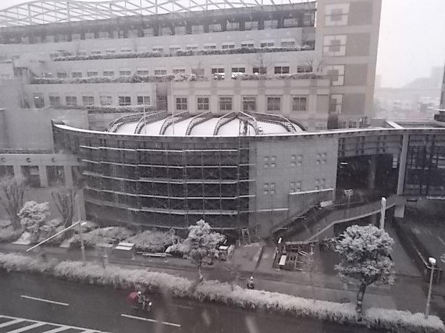 雪が降ってまいりました