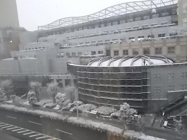 雪が　積もってきました