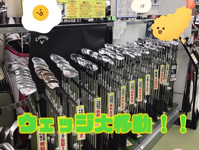 大移動！！！