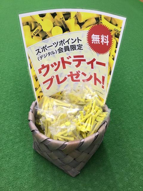 ウッドティ配布中です‼️