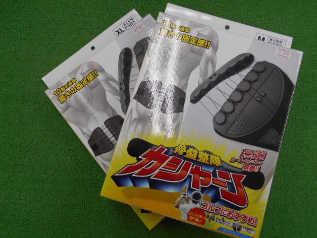 骨盤整隊カシャーン！！