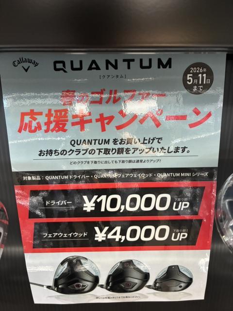 【5/11まで】クァンタムがお買い得です！！