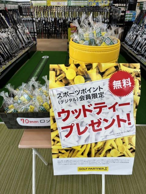 【ウッドティー】プレゼント中！！