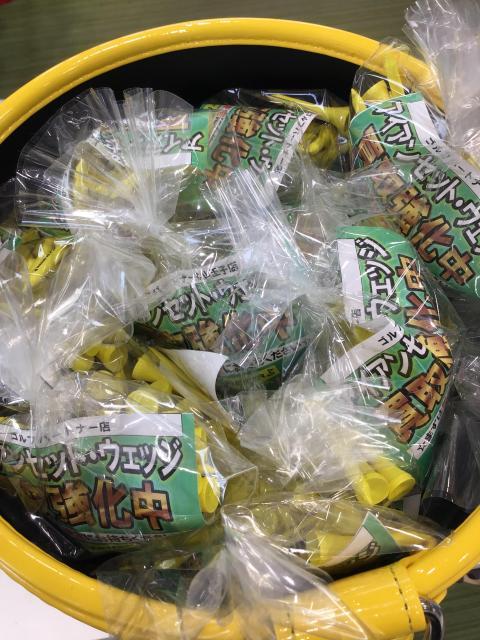 【ティー】ウッドティー準備してます！！【ゴルフパートナー】