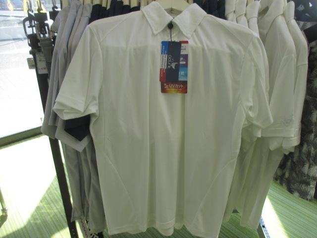 Ｃｌｕｎｋポロシャツ入荷しました！