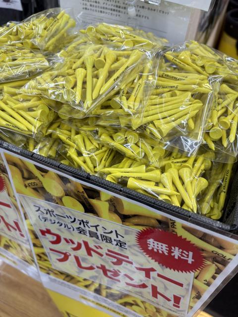 【ウッドティー】残りわずか！！