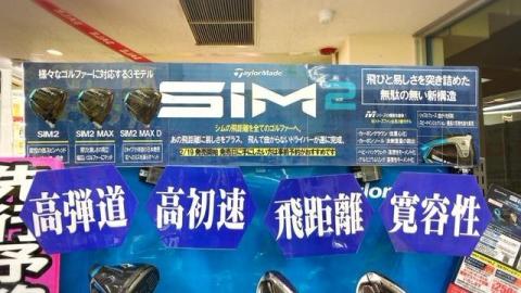 sim23.JPG
