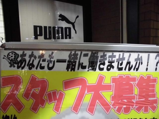 スタッフ大募集！！