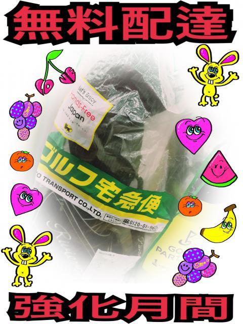 \\　送料無料　//