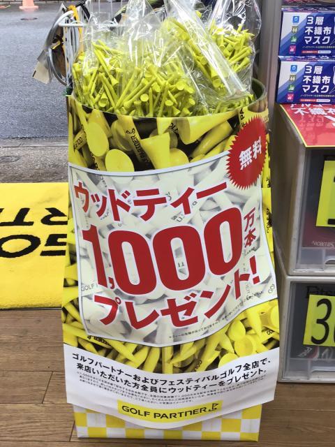 ウッドティー　1,000万本プレゼント！！
