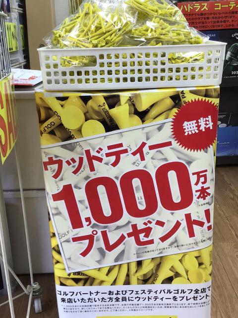 ウッドティー1000万本プレゼント